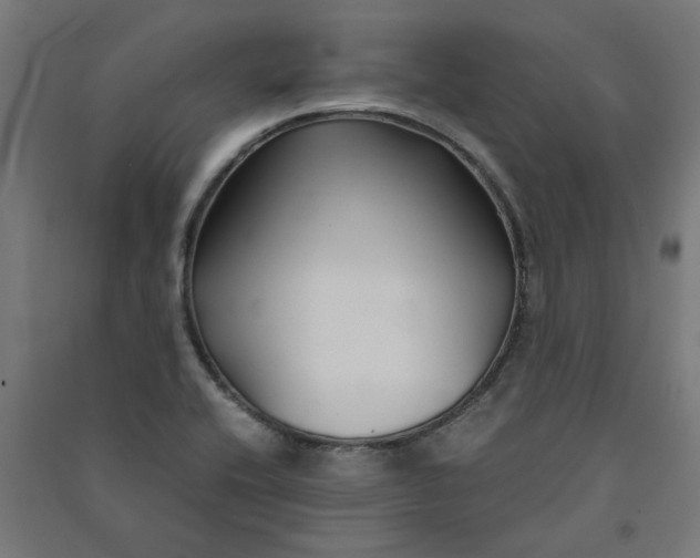 X0000091061416200708201334