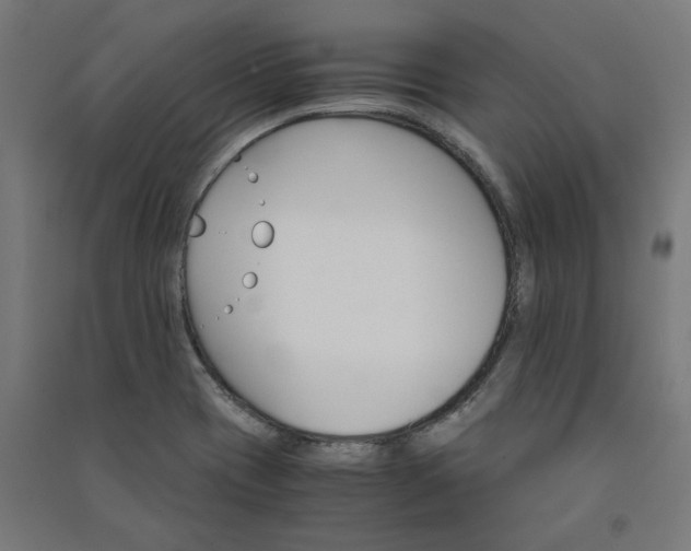 X0000091061417200708201334