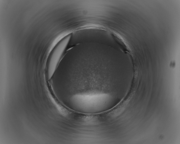 X0000091061418200708201334