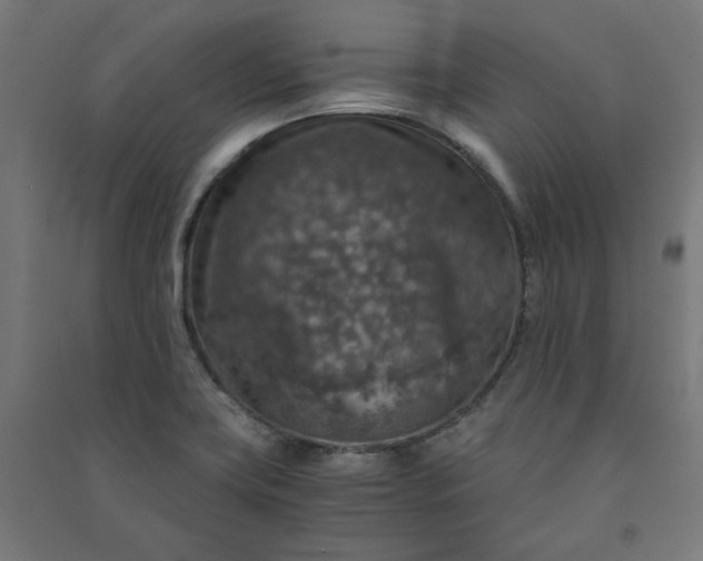 X0000091061419200708201334
