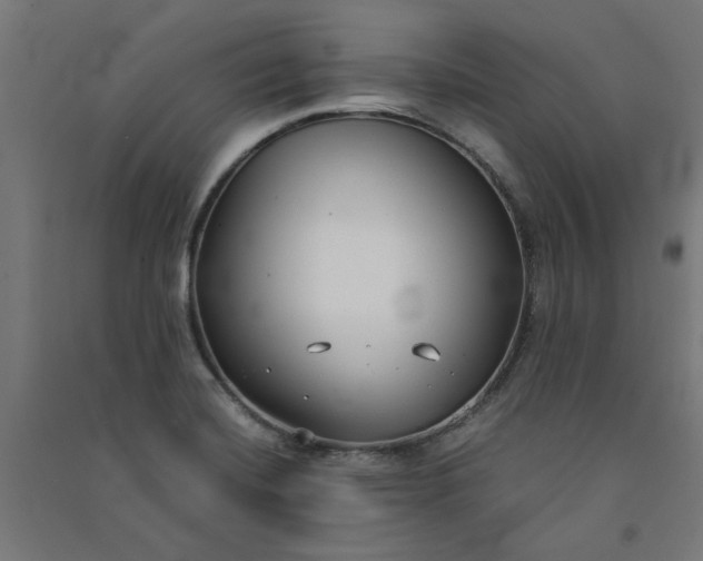 X0000091061420200708201334