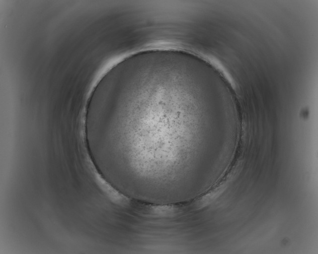 X0000091061421200708201334
