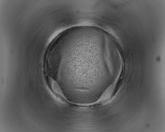 X0000091061422200708201334