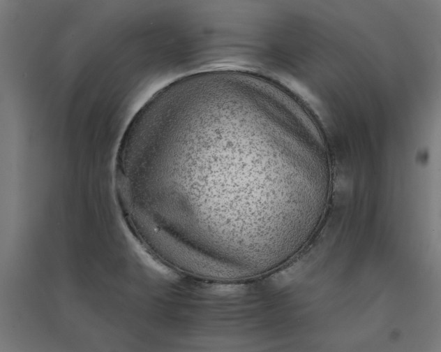 X0000091061423200708201334