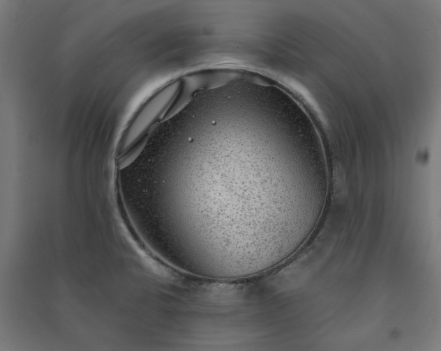 X0000091061424200708201334