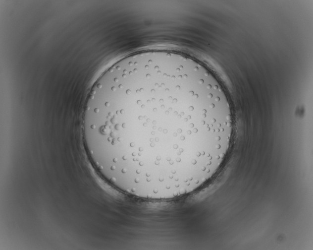X0000091061425200708201334