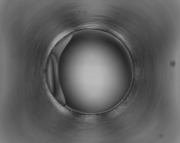 X0000091061426200708201335