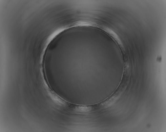 X0000091061427200708201335