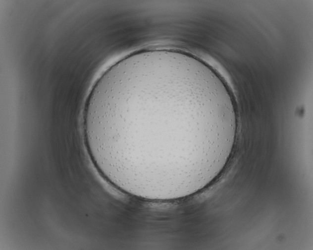 X0000091061429200708201335