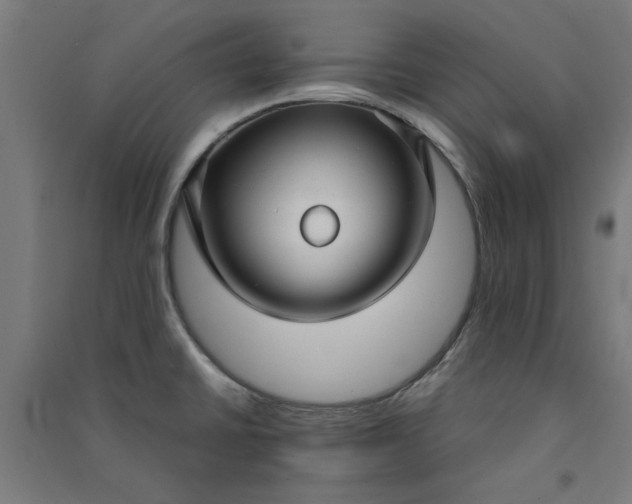 X0000091061430200708201335