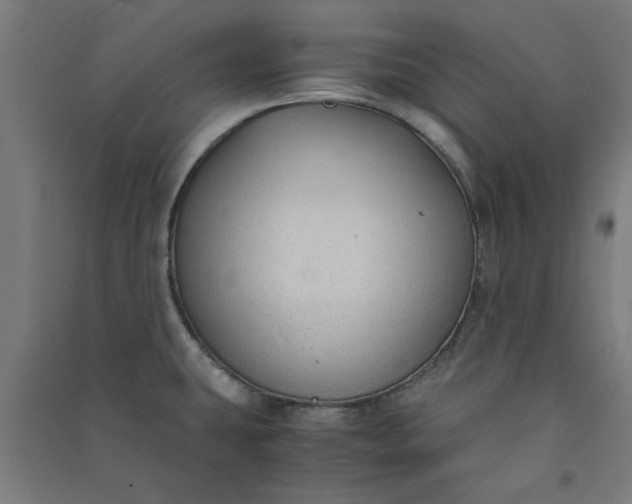 X0000091061431200708201335