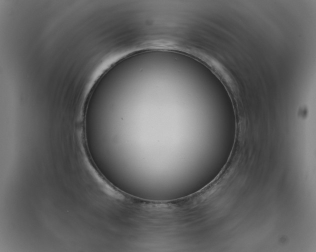 X0000091061432200708201335