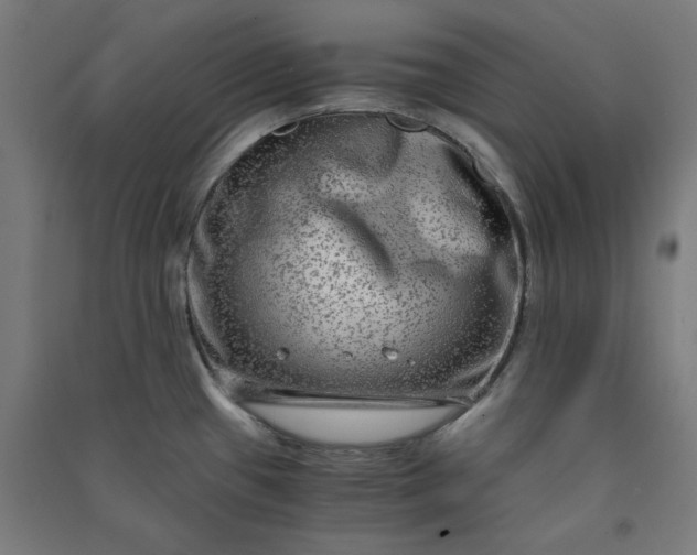 X0000091061433200708201335