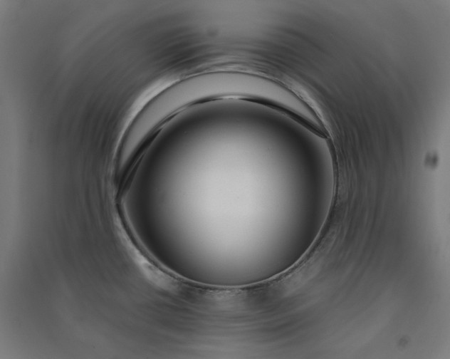 X0000091061434200708201335