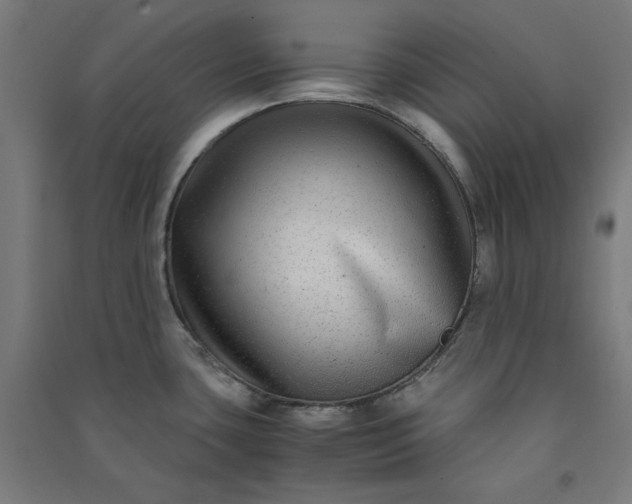 X0000091061435200708201335