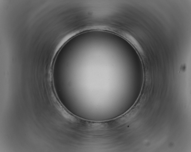 X0000091061436200708201335