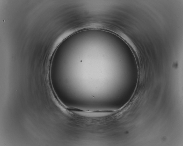 X0000091061437200708201335