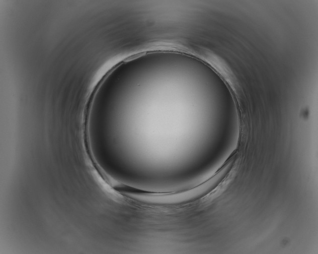 X0000091061438200708201335