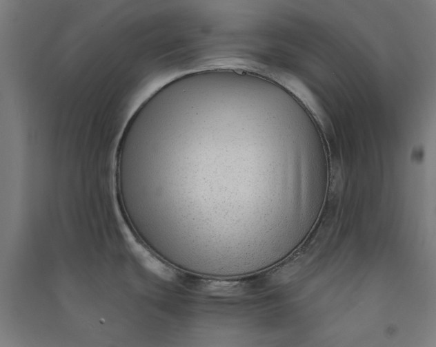 X0000091061439200708201335