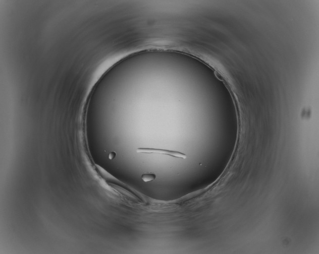 X0000091061440200708201335