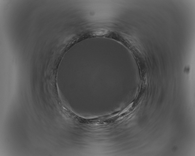 X0000091061441200708201334