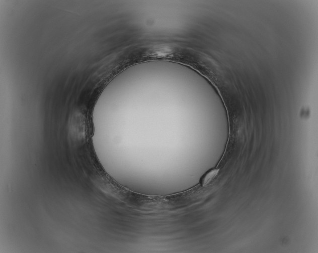 X0000091061442200708201334