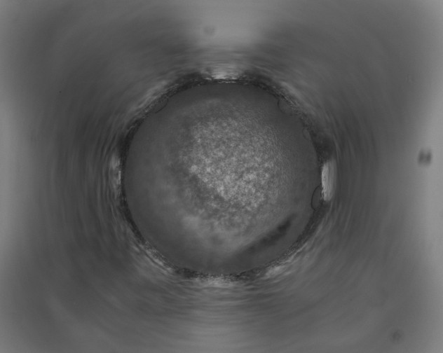 X0000091061443200708201334