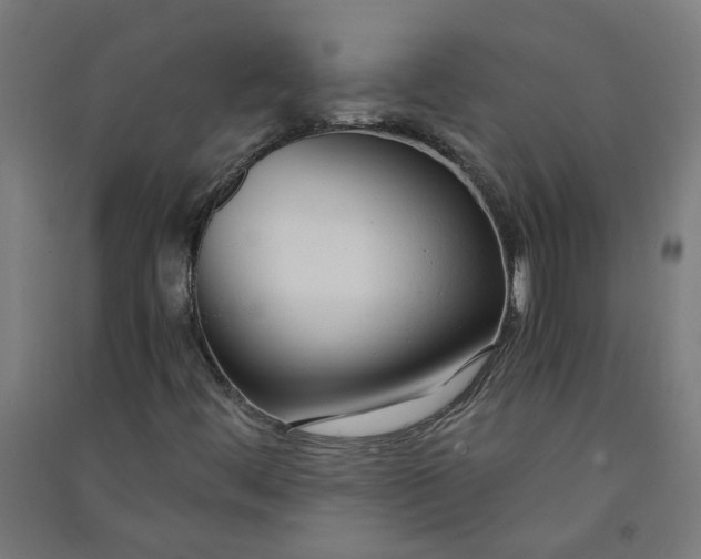 X0000091061444200708201334