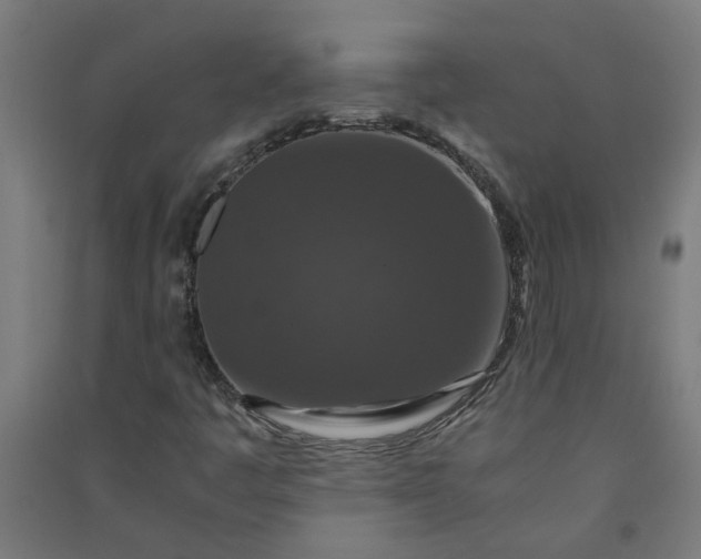 X0000091061445200708201334