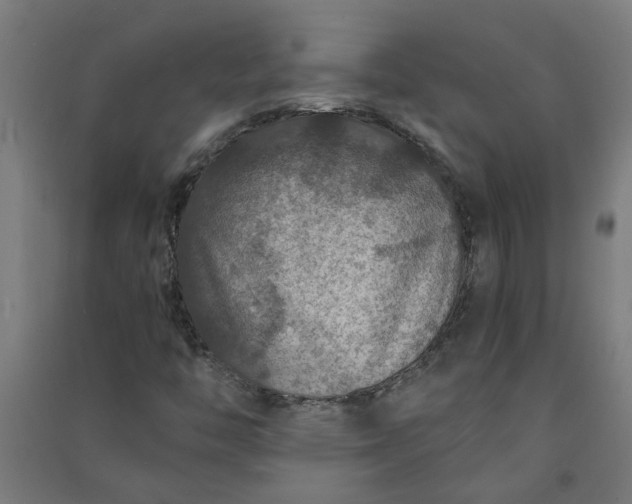 X0000091061446200708201334