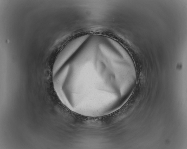 X0000091061447200708201334