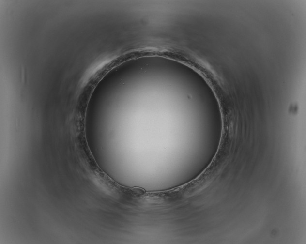 X0000091061448200708201334