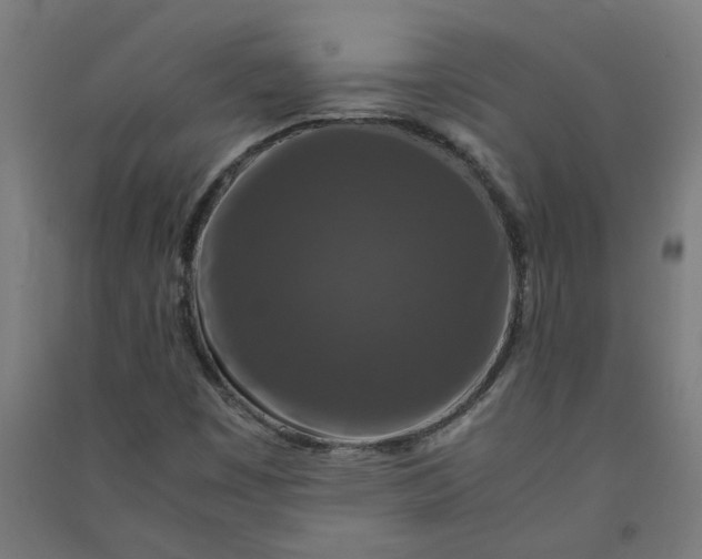 X0000091061449200708201334
