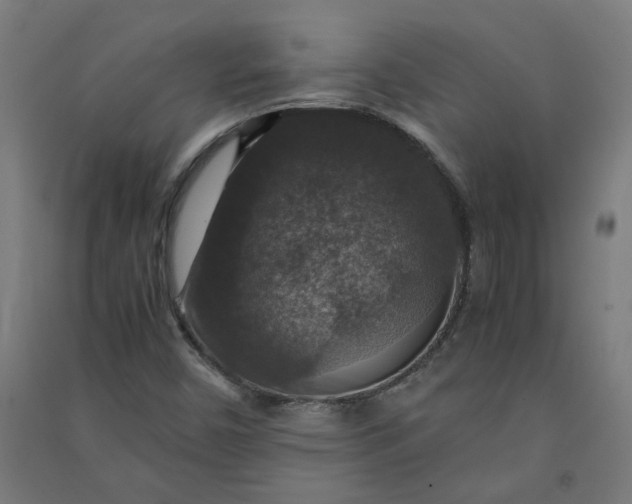 X0000091061450200708201334