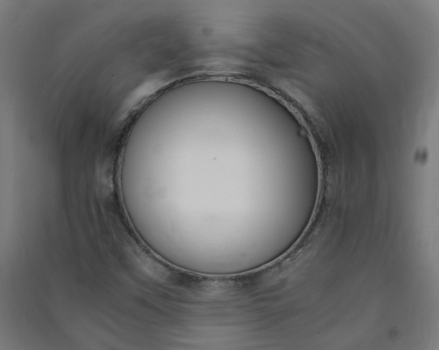 X0000091061451200708201334