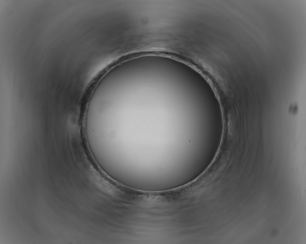 X0000091061452200708201334