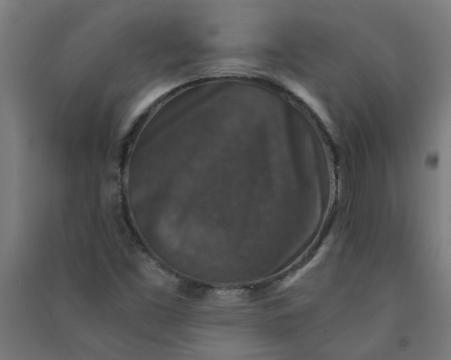 X0000091061453200708201334
