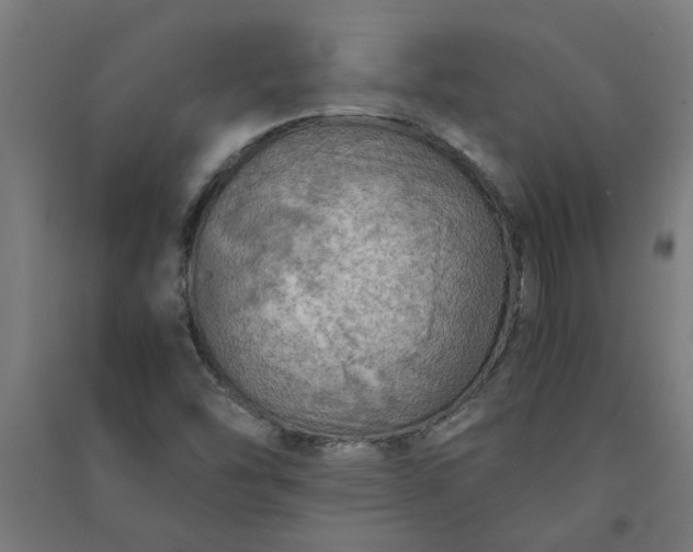 X0000091061454200708201334
