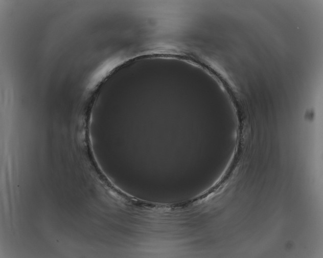 X0000091061455200708201334