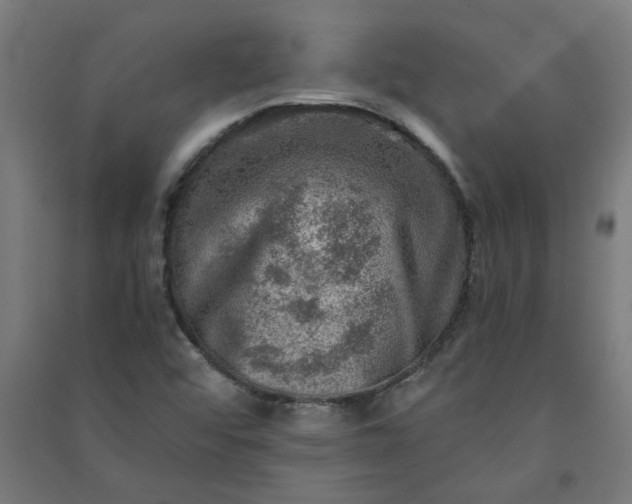 X0000091061456200708201334