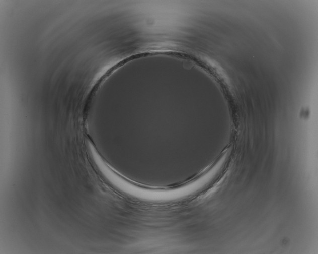X0000091061457200708201334