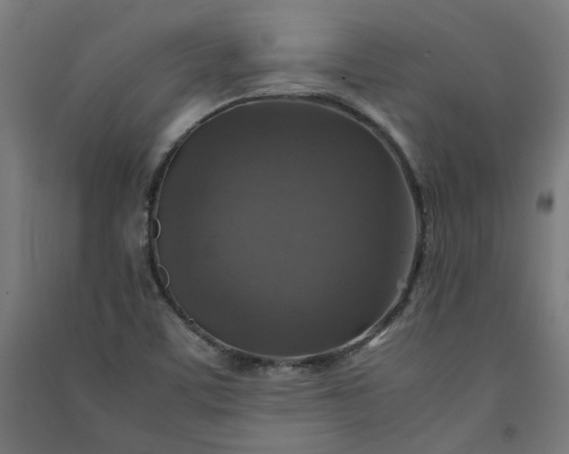 X0000091061459200708201334
