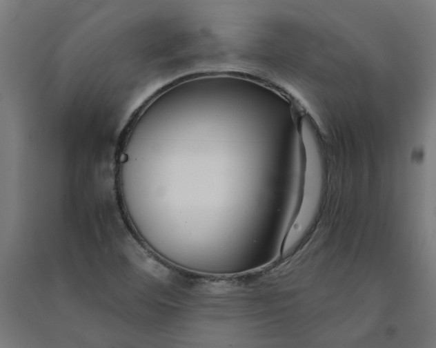 X0000091061460200708201334