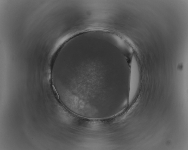 X0000091061461200708201334