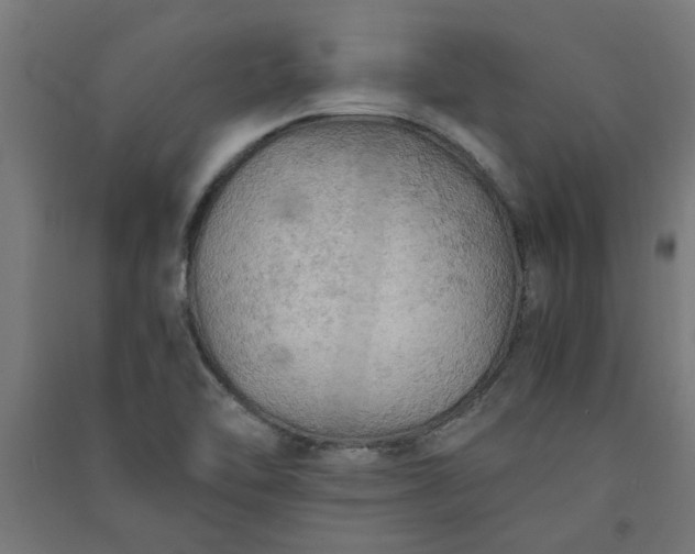 X0000091061462200708201334