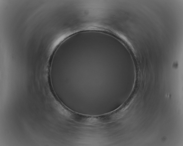 X0000091061463200708201334