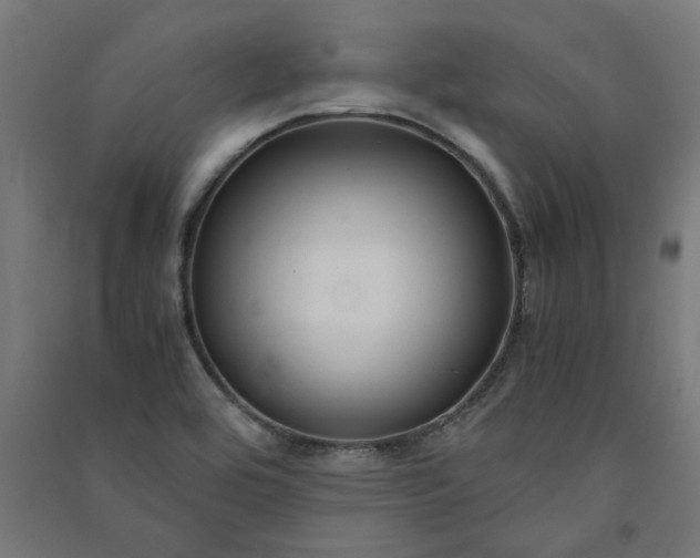 X0000091061464200708201334