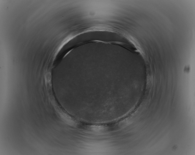 X0000091061465200708201334