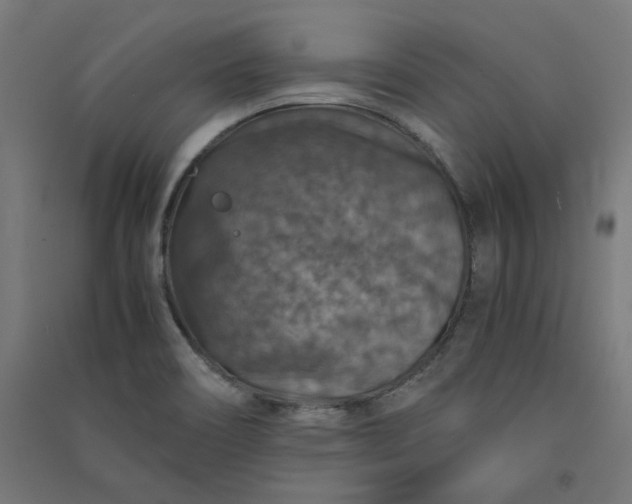 X0000091061466200708201334