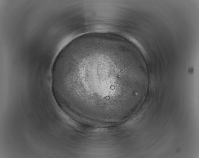X0000091061467200708201334